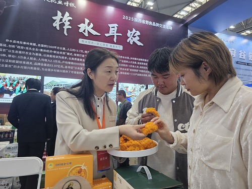 柞水县人社部门工作人员正在为观展人员介绍“柞水耳农”相关产品.jpg